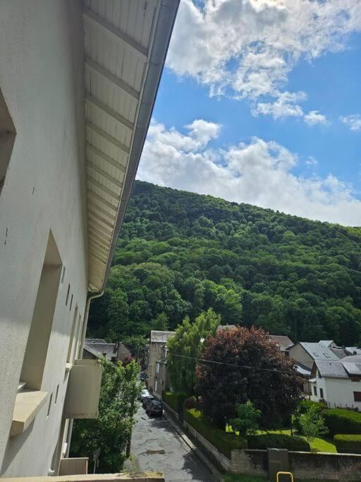 Bagnères-de-Luchon Chez Louise, Appartement T3 A Deux Pas Du Centre מראה חיצוני תמונה